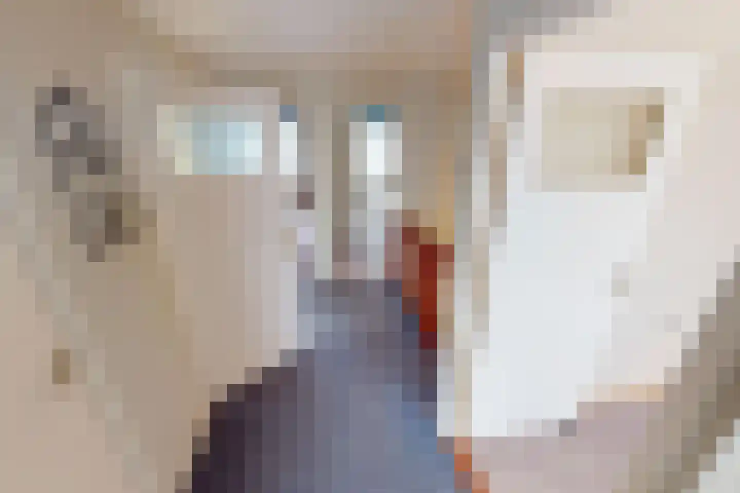 Laantje 11 Westwoud thumbnail 54