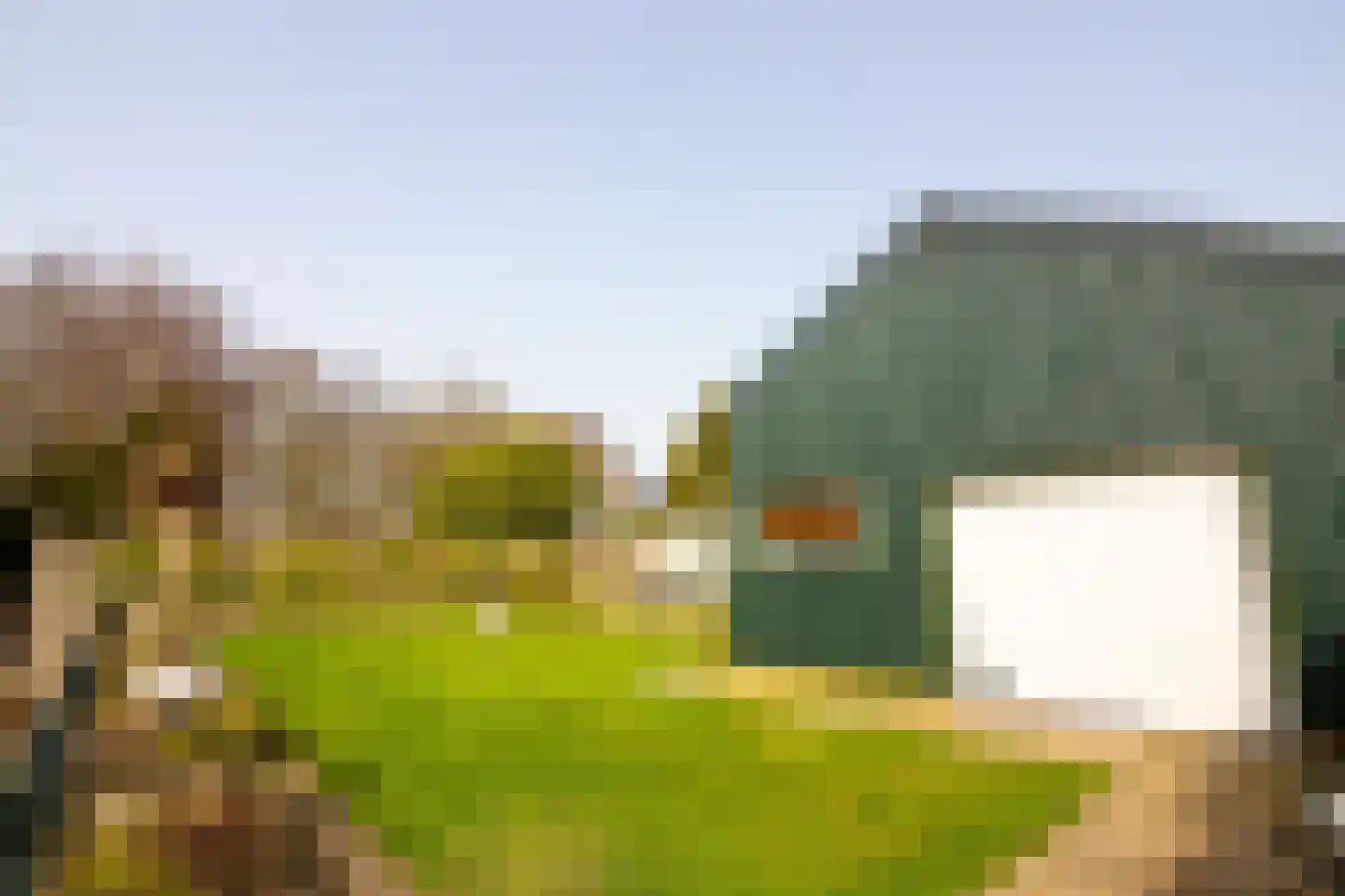 Laantje 11 Westwoud thumbnail 82