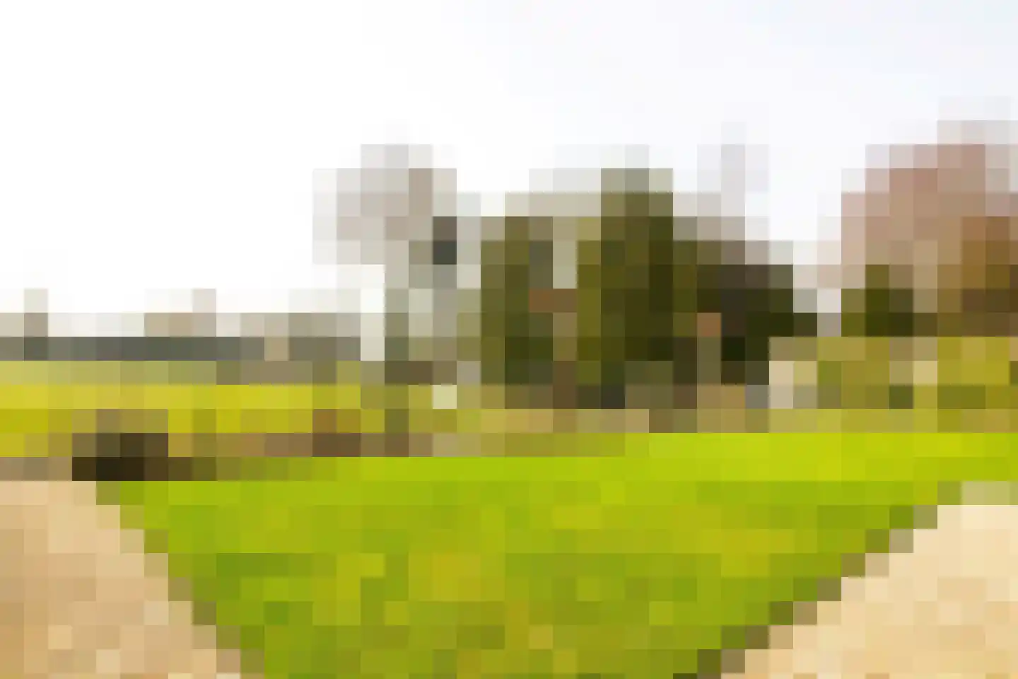 Laantje 11 Westwoud thumbnail 84