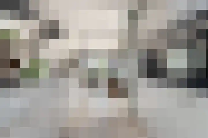 Laantje 18 Westwoud thumbnail 10