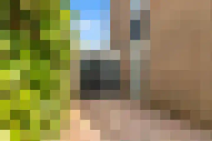 Laantje 18 Westwoud thumbnail 22