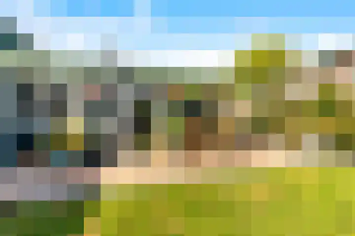 Laantje 18 Westwoud thumbnail 25