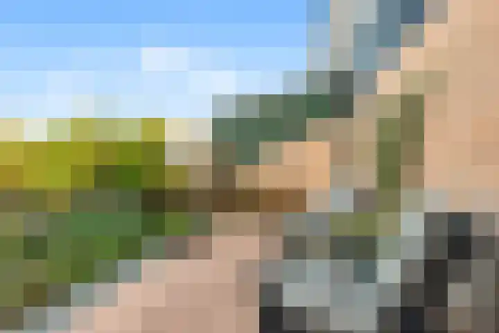 Laantje 18 Westwoud thumbnail 26
