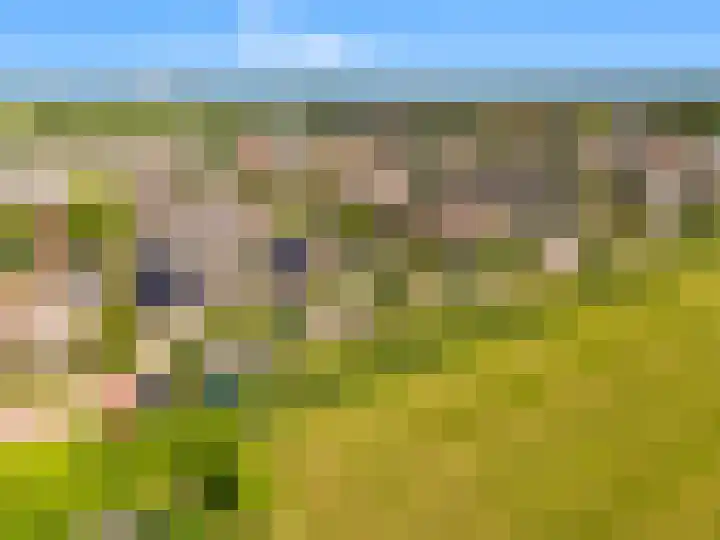 Laantje 18 Westwoud thumbnail 32