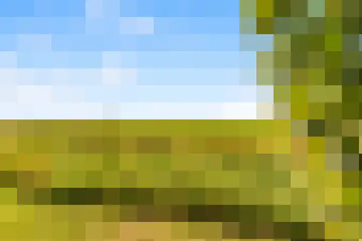 Laantje 18 Westwoud thumbnail 33