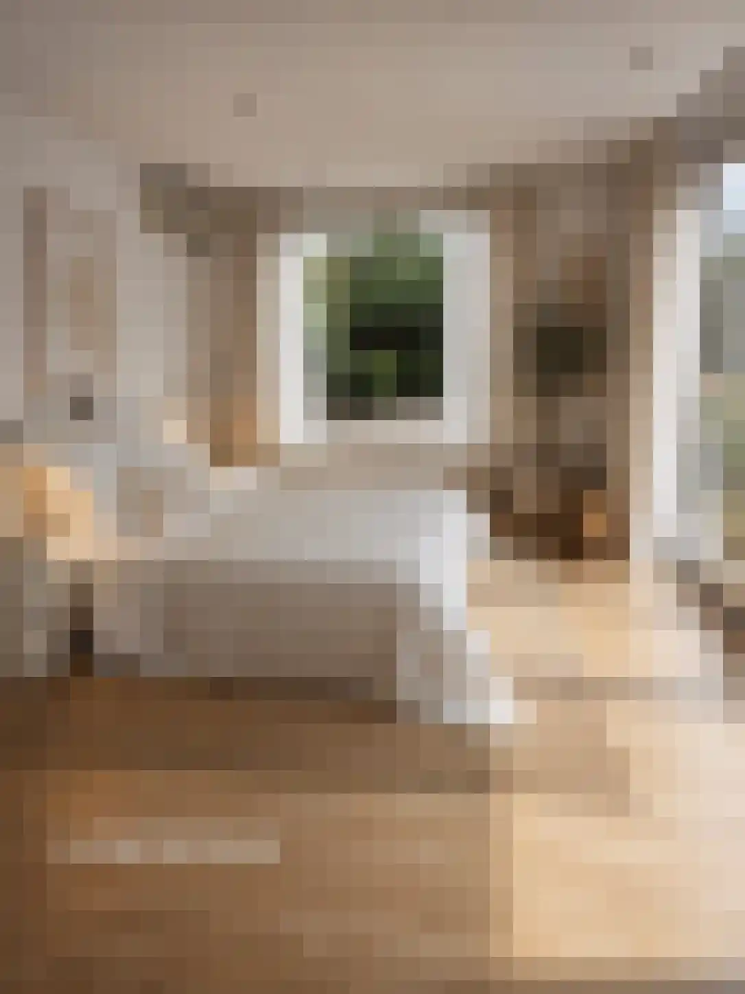 Laantje 5 Wijchen thumbnail 15