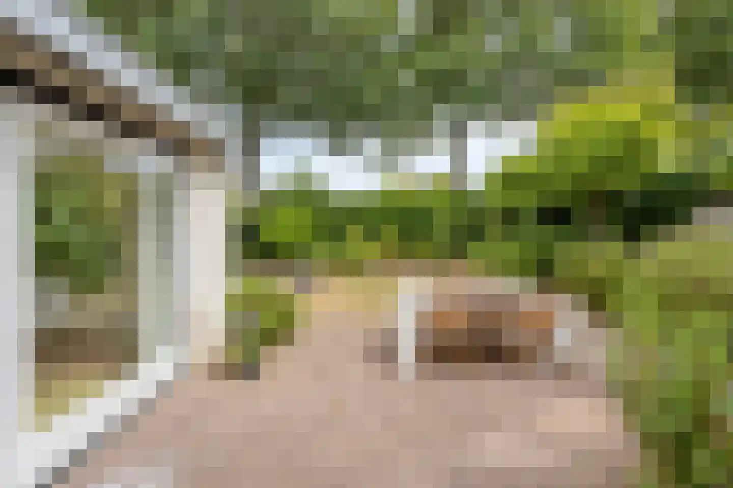 Laantje 5 Wijchen thumbnail 31