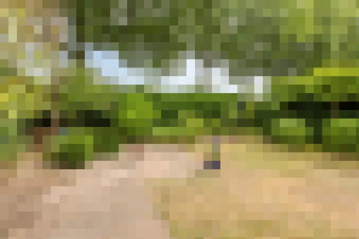 Laantje 5 Wijchen thumbnail 33
