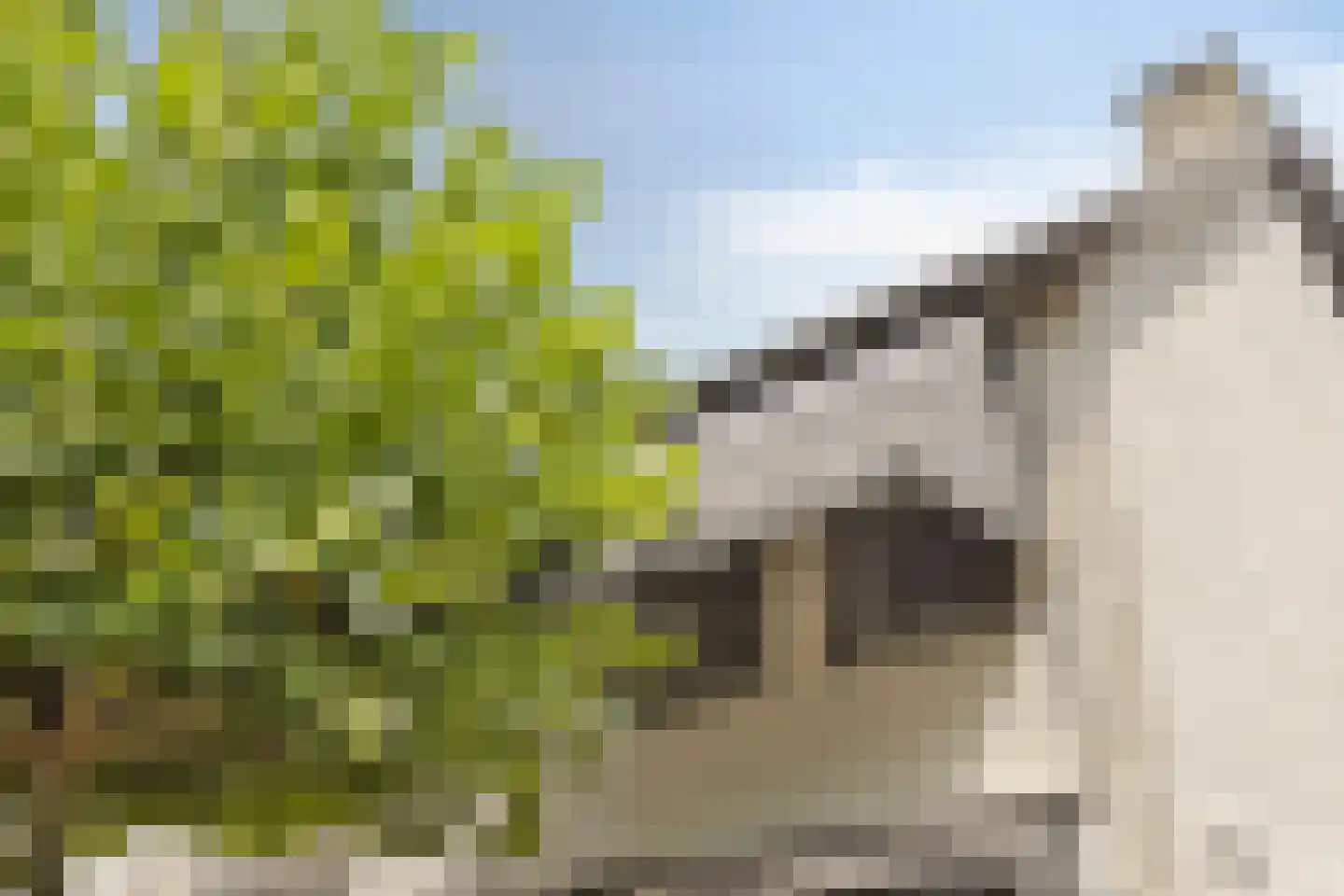 Laantje 5 Wijchen thumbnail 40