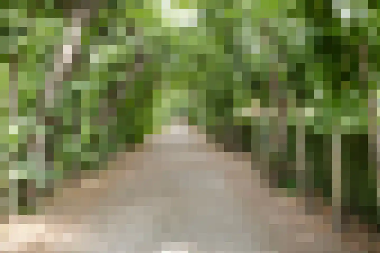 Laantje 5 Wijchen thumbnail 43