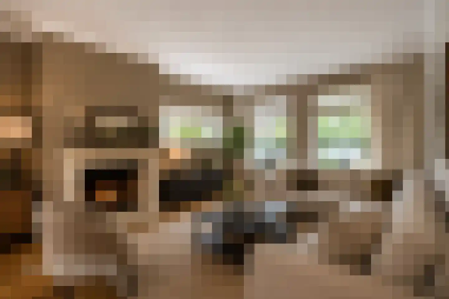 Laantje 5 Wijchen thumbnail 6