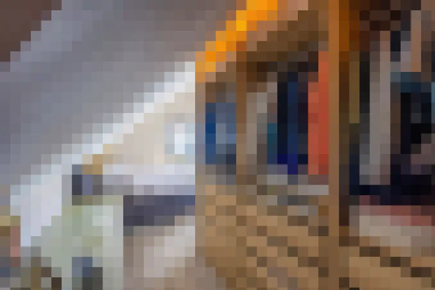 Laantje van Alberts 8 Blaricum thumbnail 35
