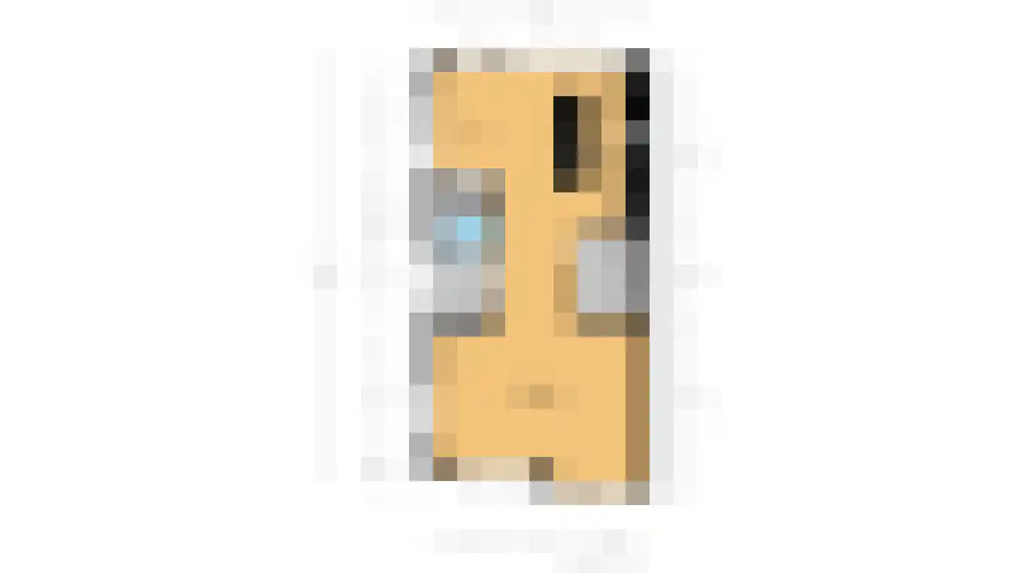 Laantje van Alberts 8 Blaricum thumbnail 52