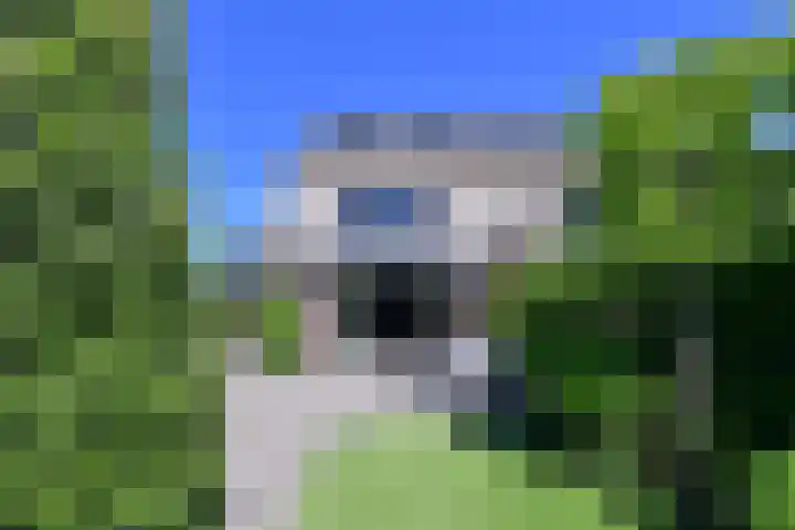 Laantje van Bakker 2 Blaricum thumbnail 16