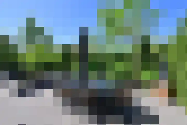 Laantje van Bakker 2 Blaricum thumbnail 21