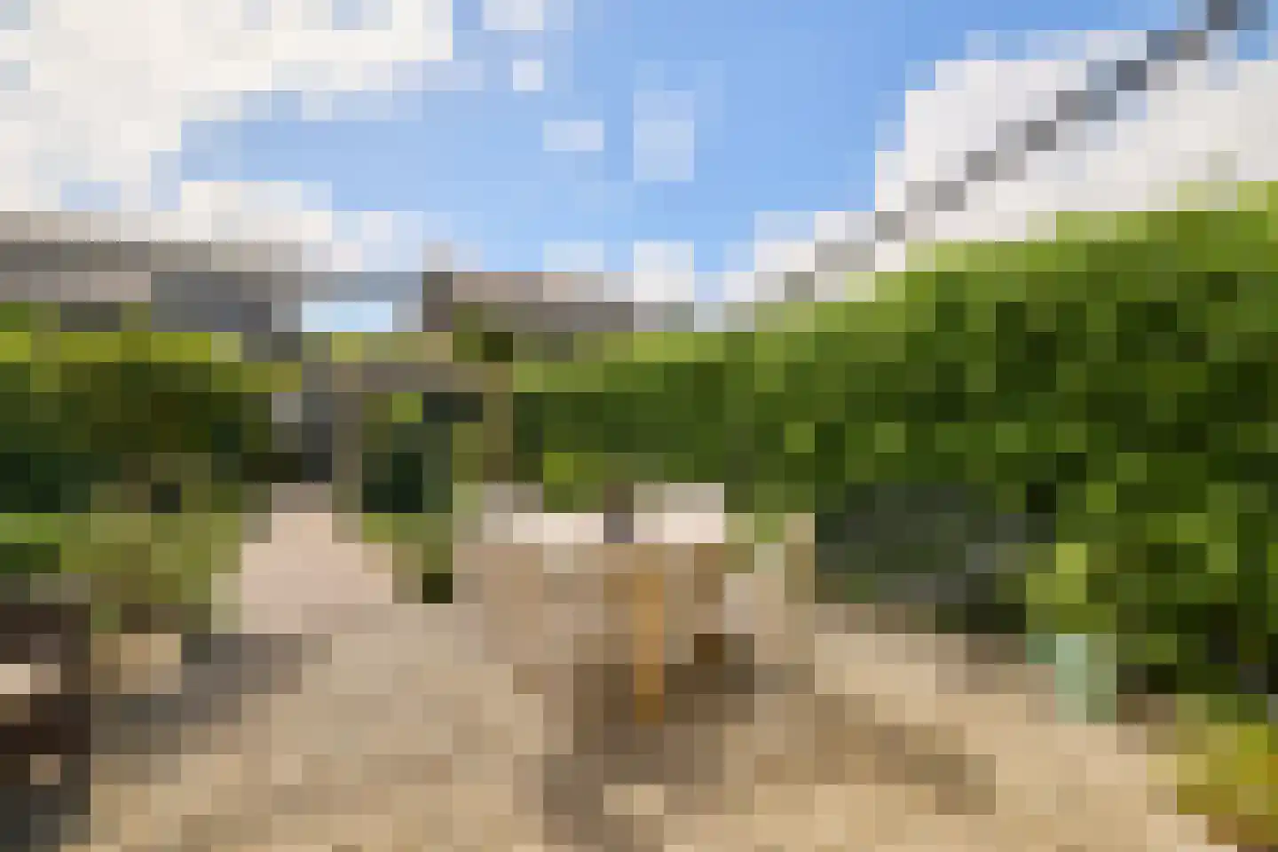 Laantje van Bakker 8 Blaricum thumbnail 13