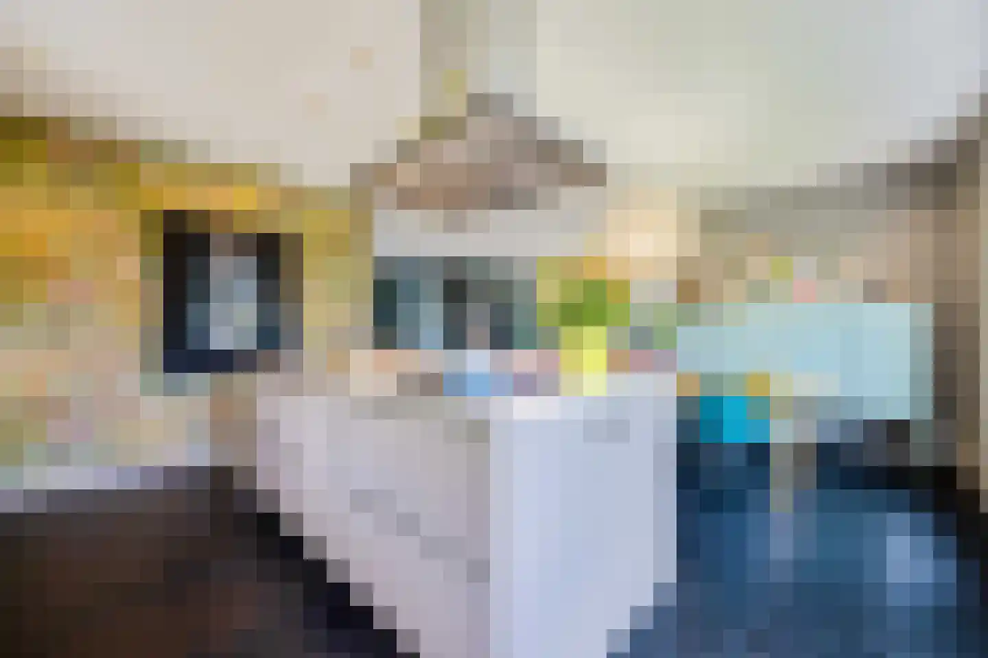 Laantje van Borsen 9 Blaricum thumbnail 11