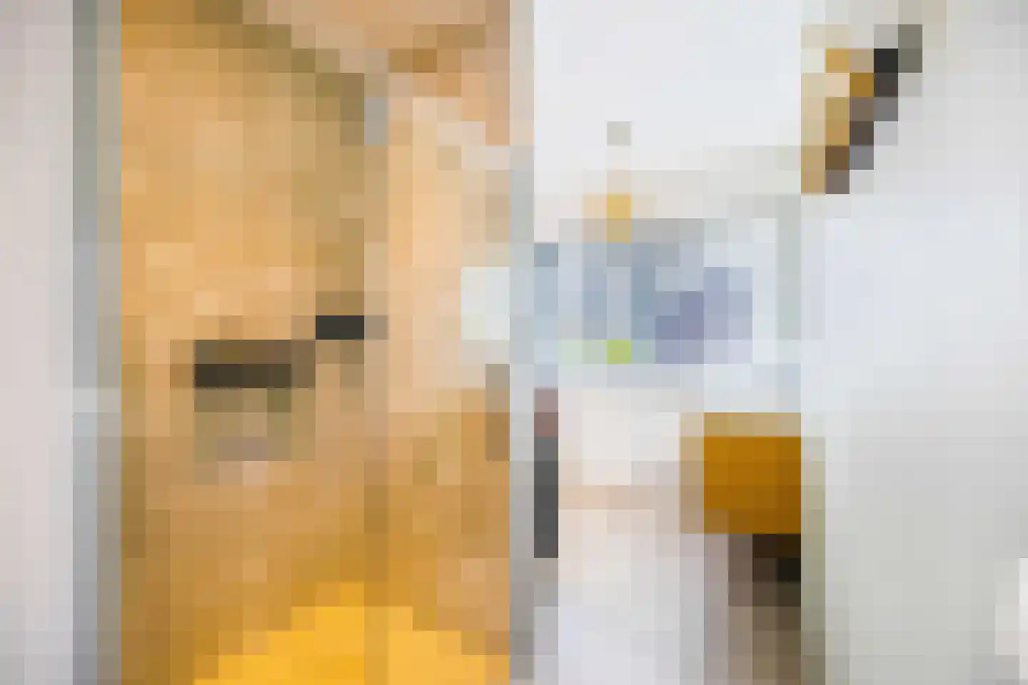 Laantje van Borsen 9 Blaricum thumbnail 31