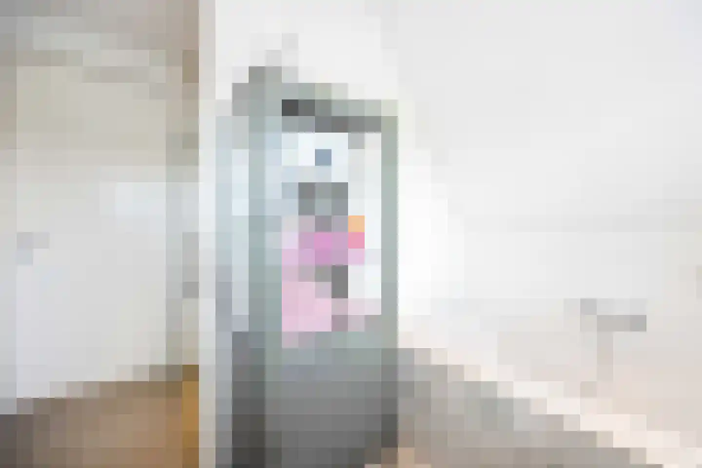 Laantje van Borsen 9 Blaricum thumbnail 32