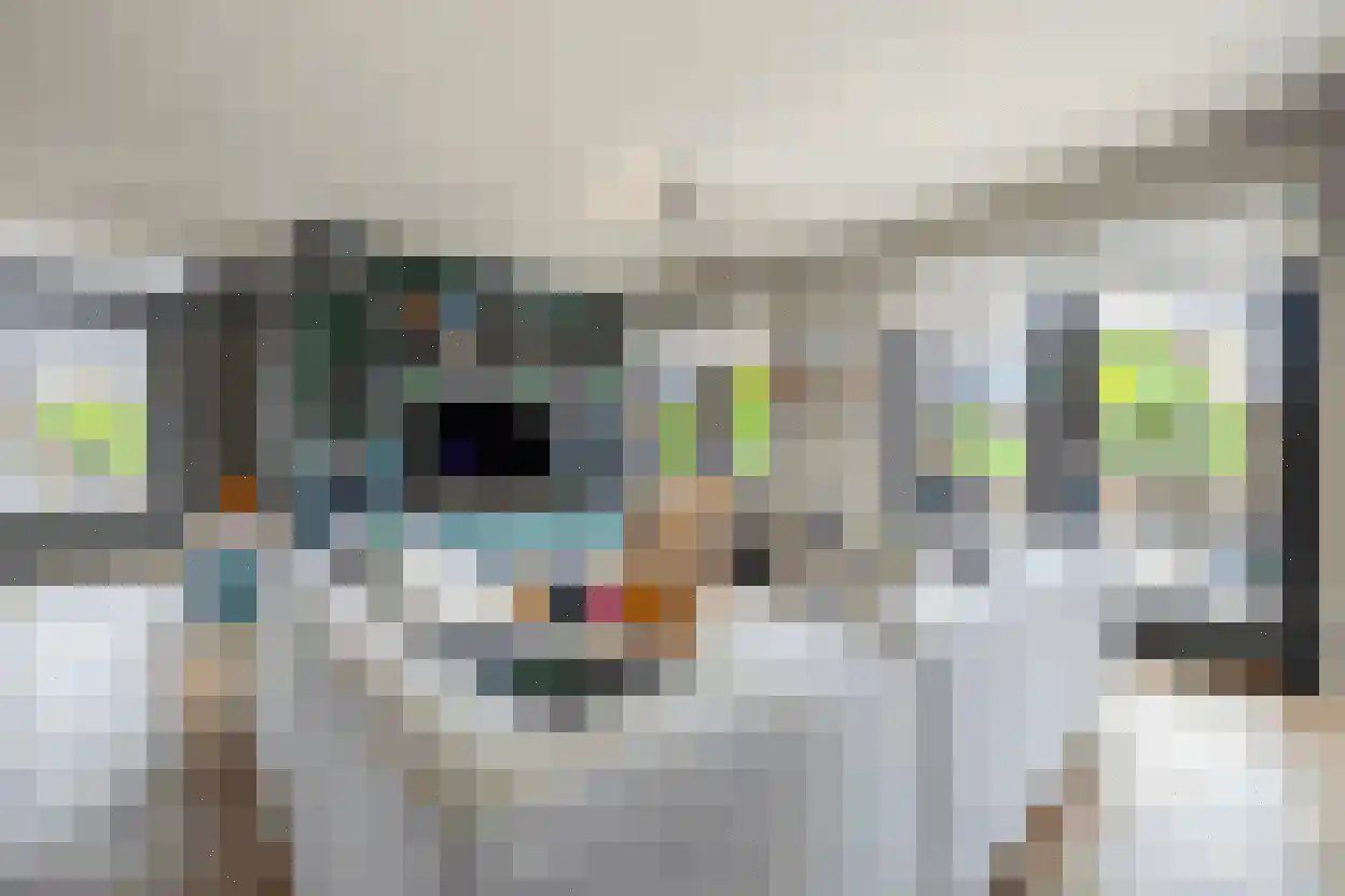 Laantje van Borsen 9 Blaricum thumbnail 5