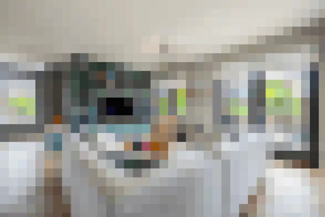 Laantje van Borsen 9 Blaricum thumbnail 6