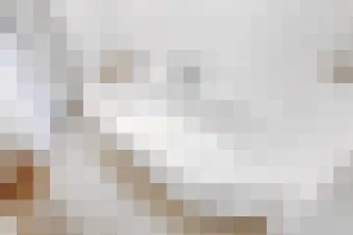 Laantje van Braskamp 5 Rijswijk thumbnail 23