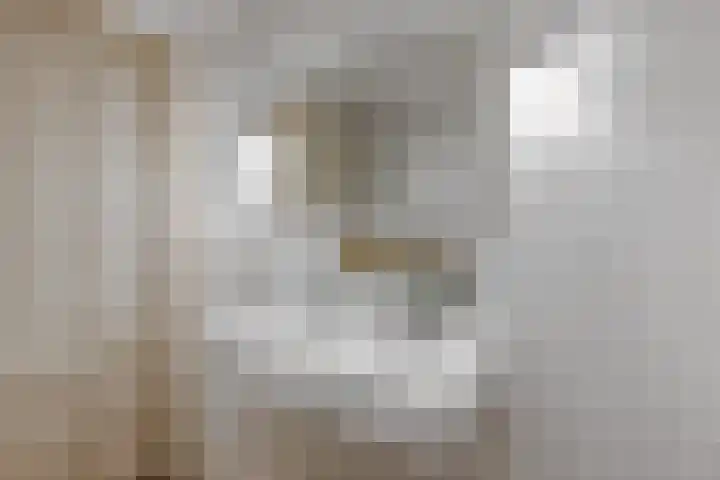 Laantje van Braskamp 5 Rijswijk thumbnail 24