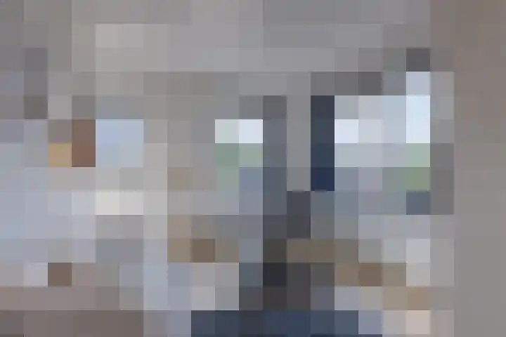 Laantje van Braskamp 5 Rijswijk thumbnail 28