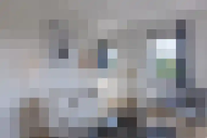 Laantje van Braskamp 5 Rijswijk thumbnail 29