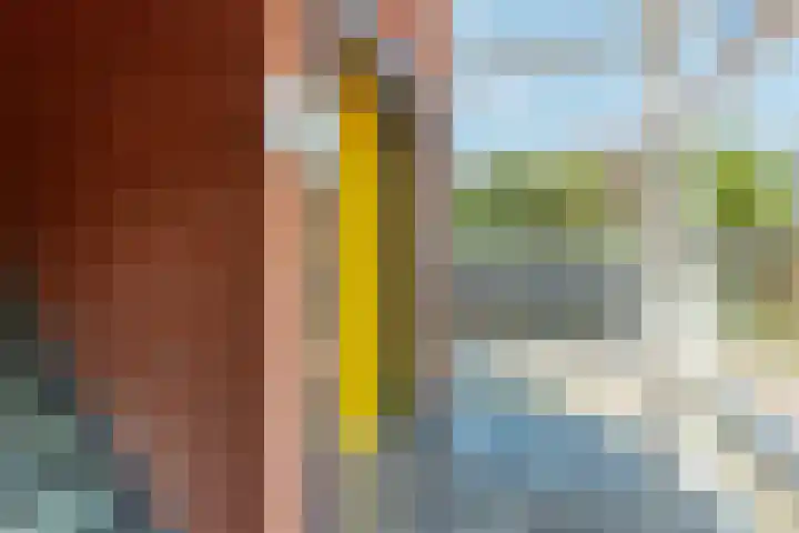 Laantje van Braskamp 5 Rijswijk thumbnail 33