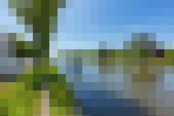 Laantje van Braskamp 5 Rijswijk thumbnail 39