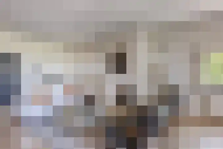 Laantje van Braskamp 5 Rijswijk thumbnail 9