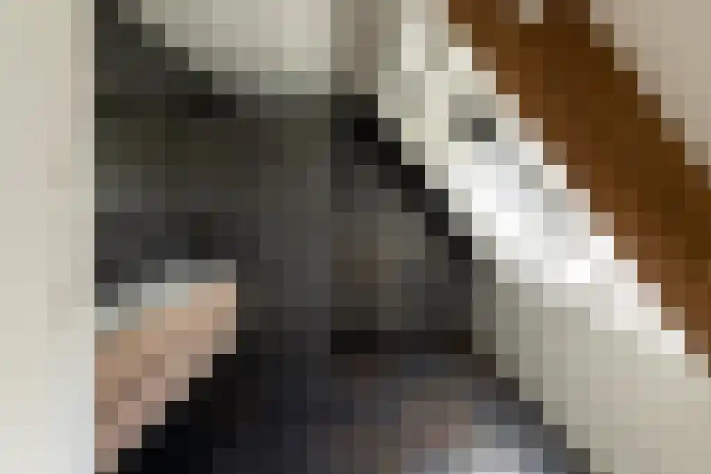 Laantje van Bruijn 23 Blaricum thumbnail 29