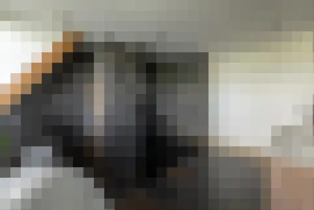 Laantje van Bruijn 23 Blaricum thumbnail 43