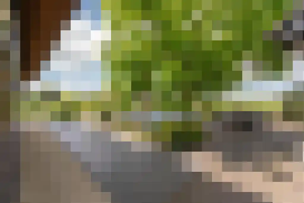 Laantje van Bruijn 23 Blaricum thumbnail 7