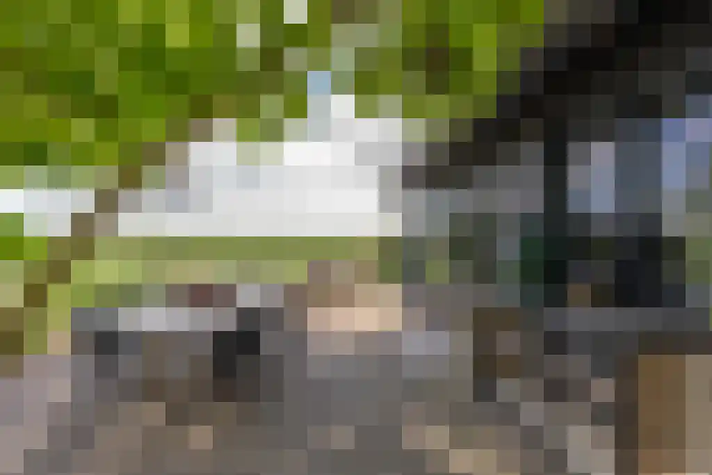 Laantje van Bruijn 23 Blaricum thumbnail 9