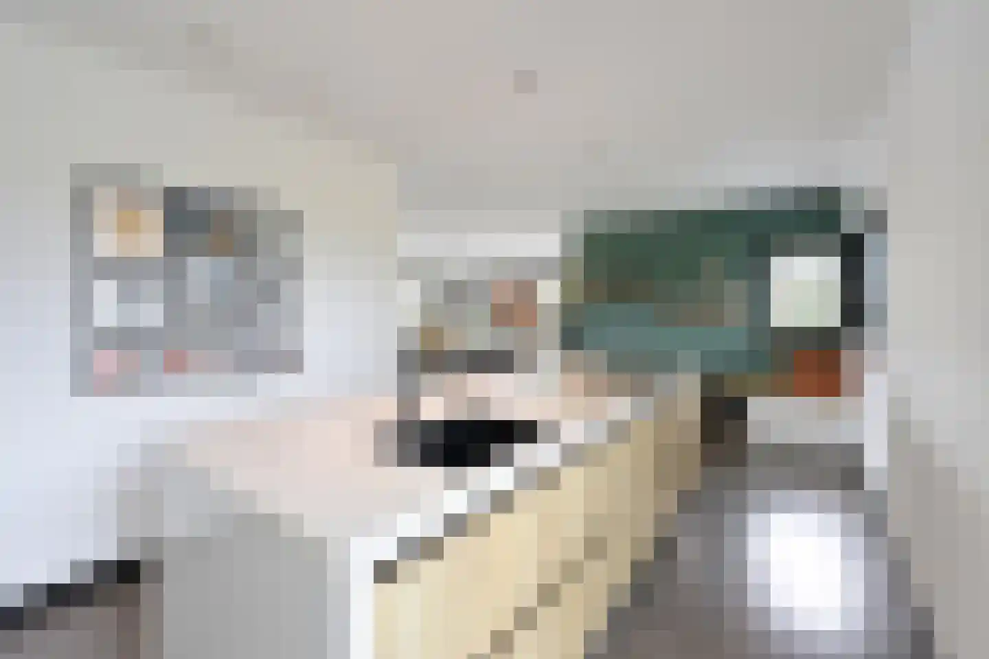 Laantje van Bruijn 31 Blaricum thumbnail 14