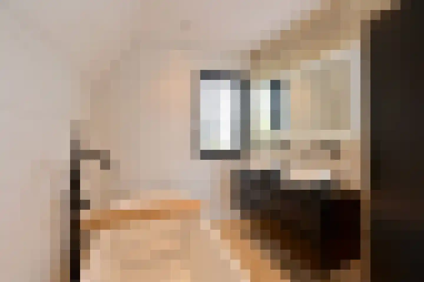 Laantje van Bruijn 31 Blaricum thumbnail 19