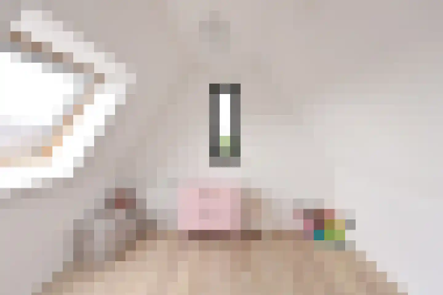 Laantje van Bruijn 31 Blaricum thumbnail 24