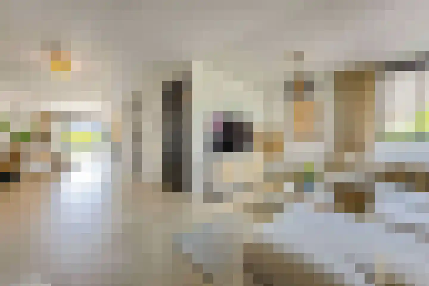 Laantje van Bruijn 41 Blaricum thumbnail 10