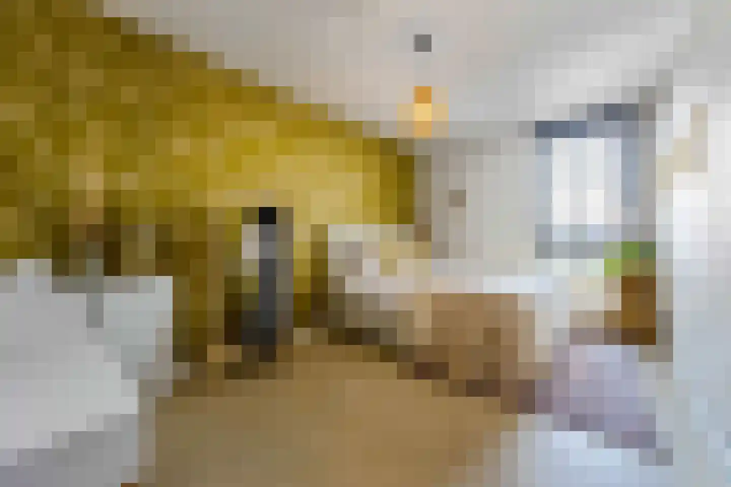 Laantje van Bruijn 41 Blaricum thumbnail 21