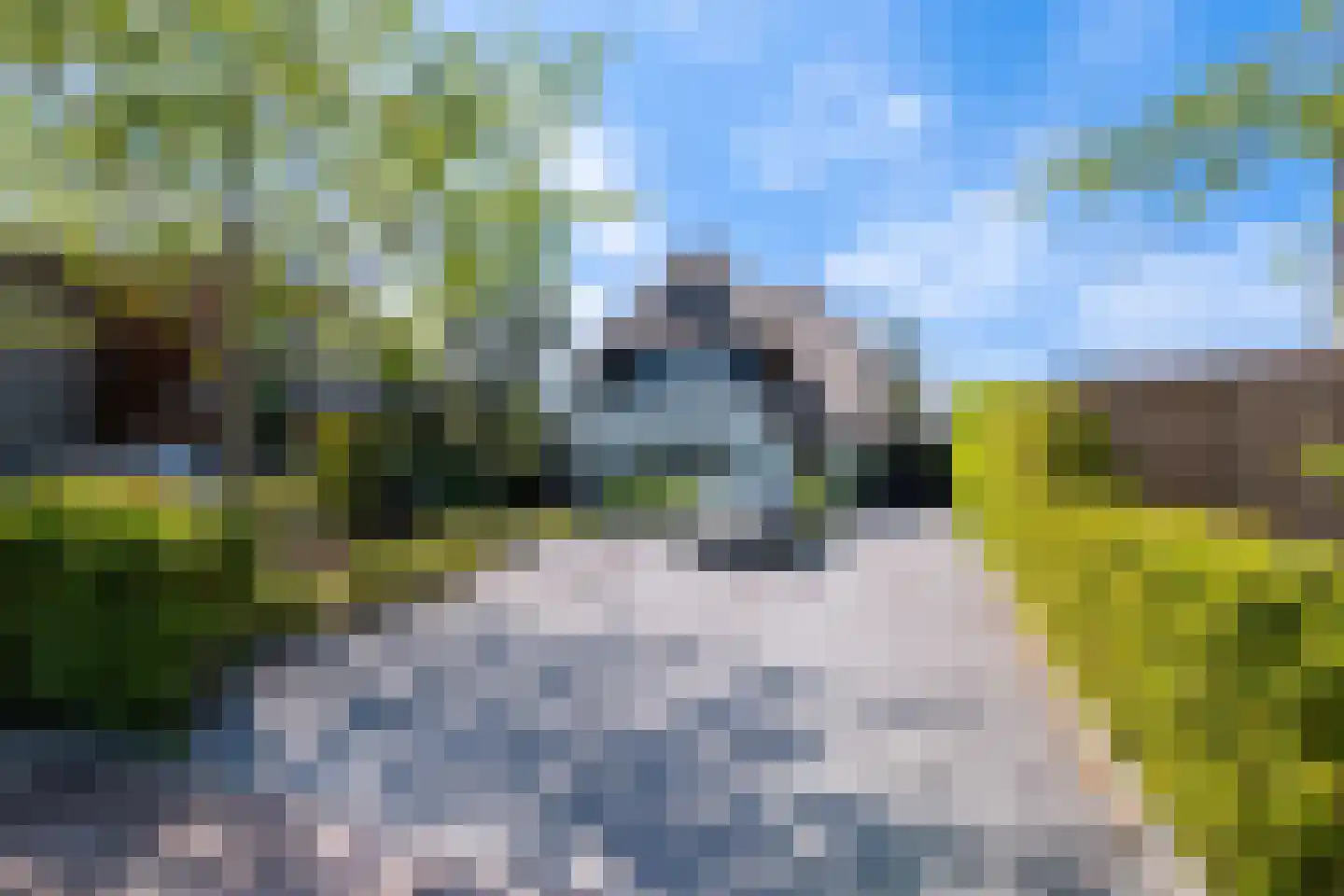 Laantje van Bruijn 53 Blaricum thumbnail 6