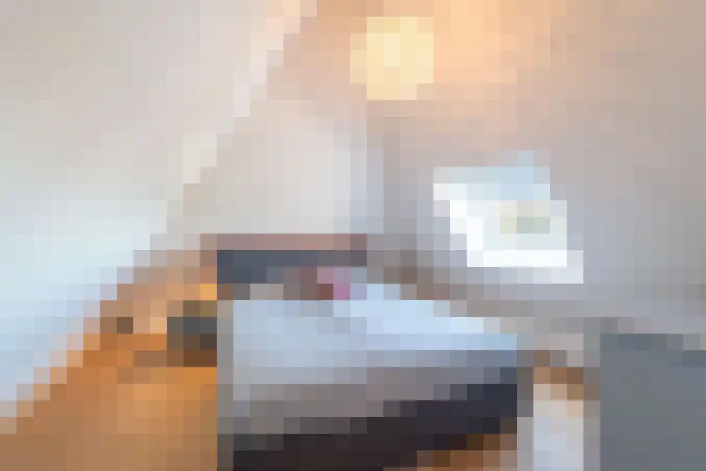 Laantje van Bruijn 53 Blaricum thumbnail 67
