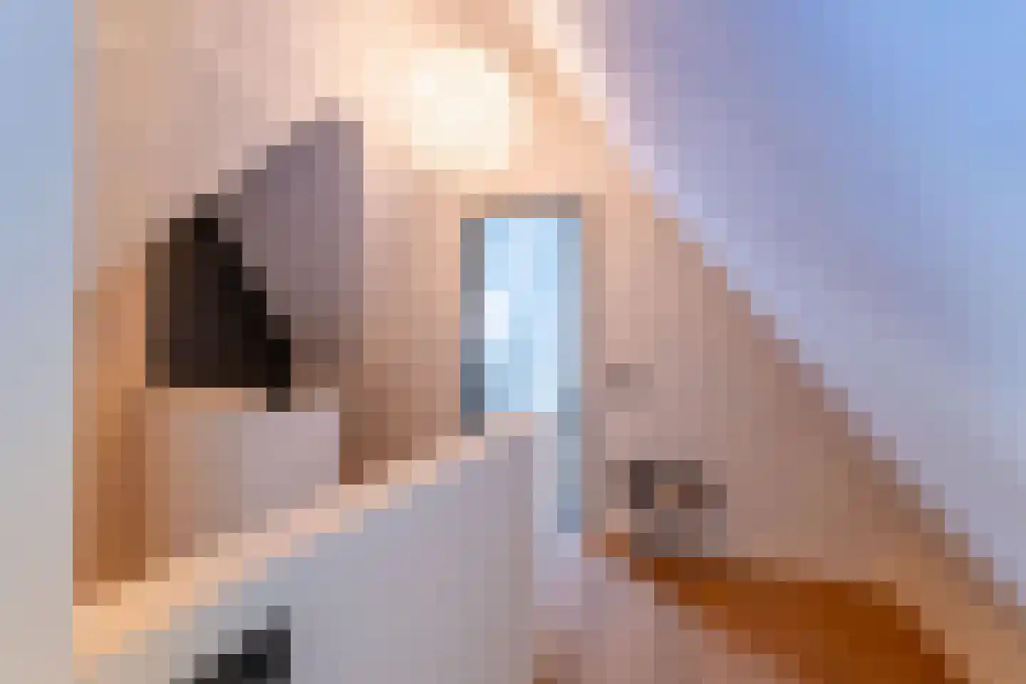 Laantje van Bruijn 53 Blaricum thumbnail 69
