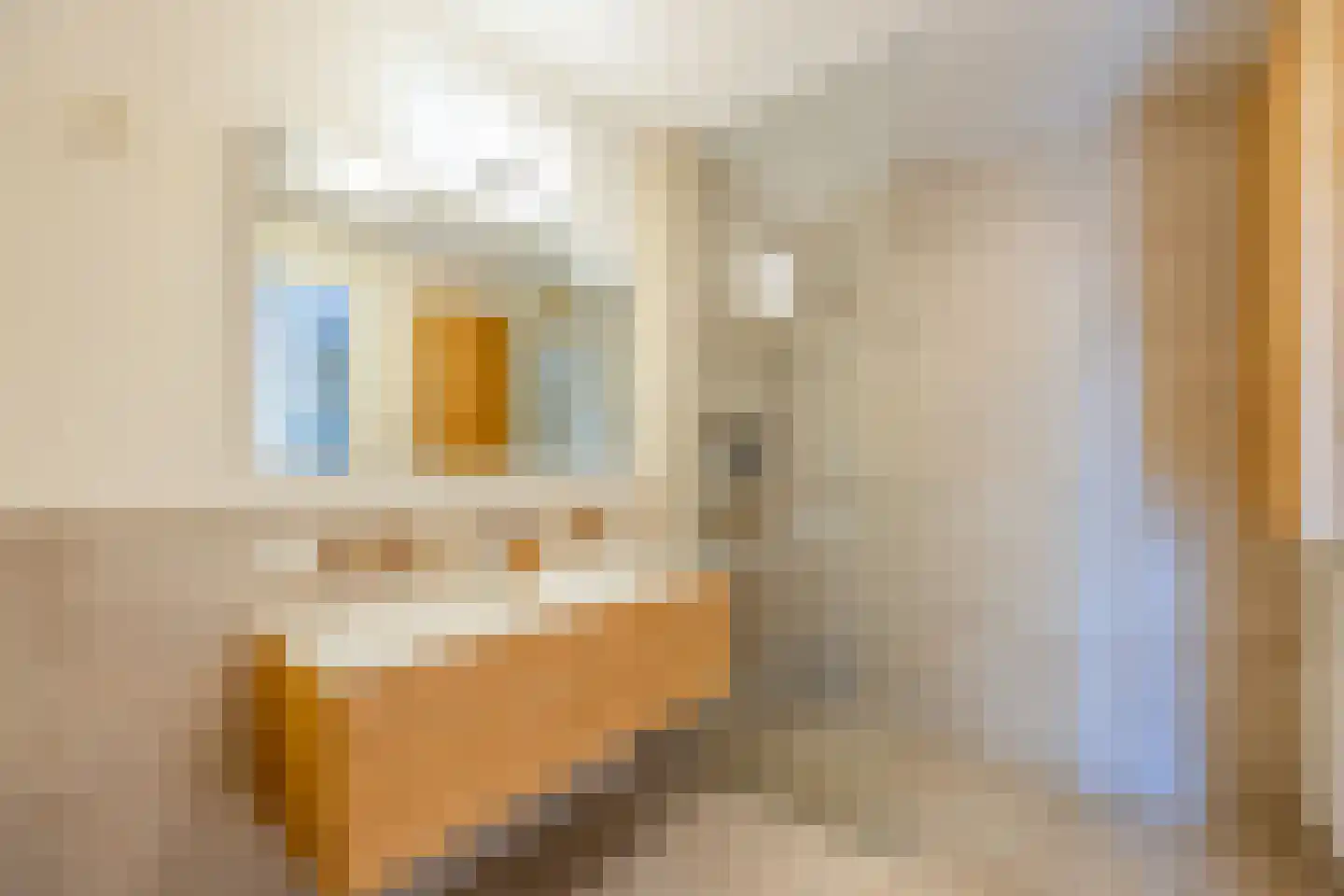 Laantje van Bruijn 8 Blaricum thumbnail 19
