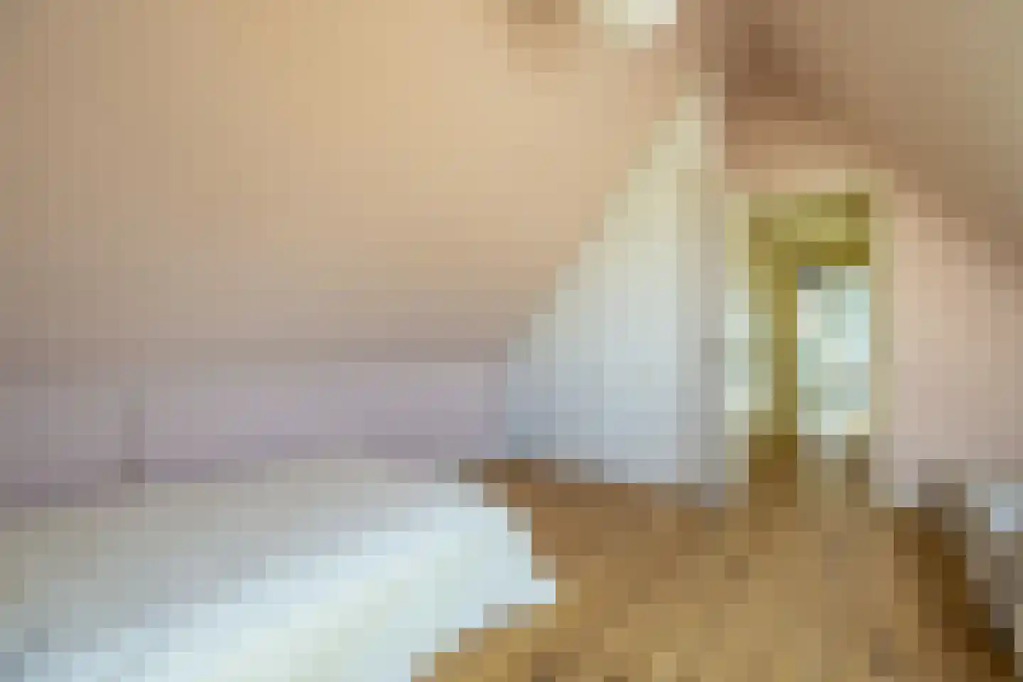 Laantje van Bruijn 8 Blaricum thumbnail 31