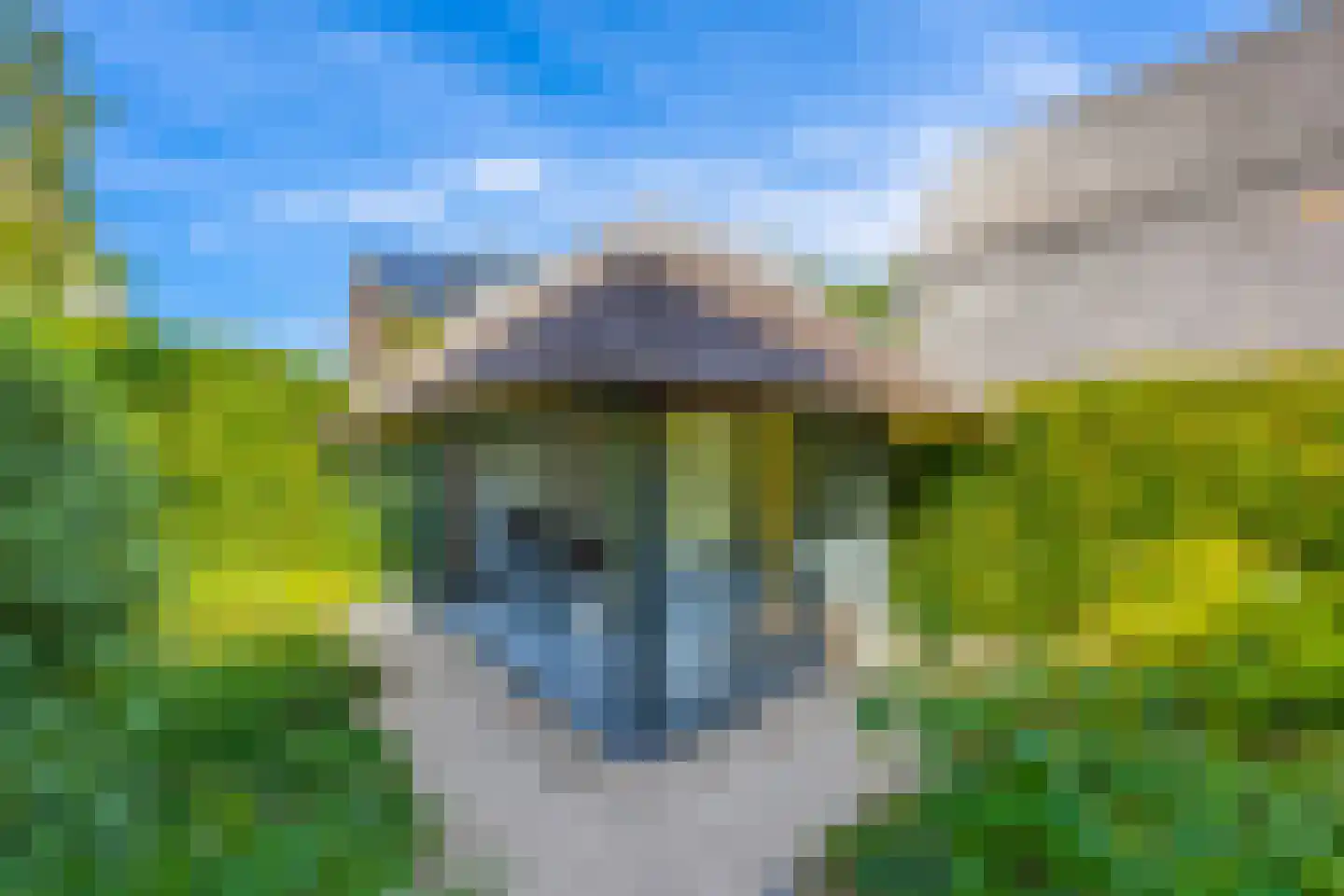 Laantje van Bruijn 8 Blaricum thumbnail 42