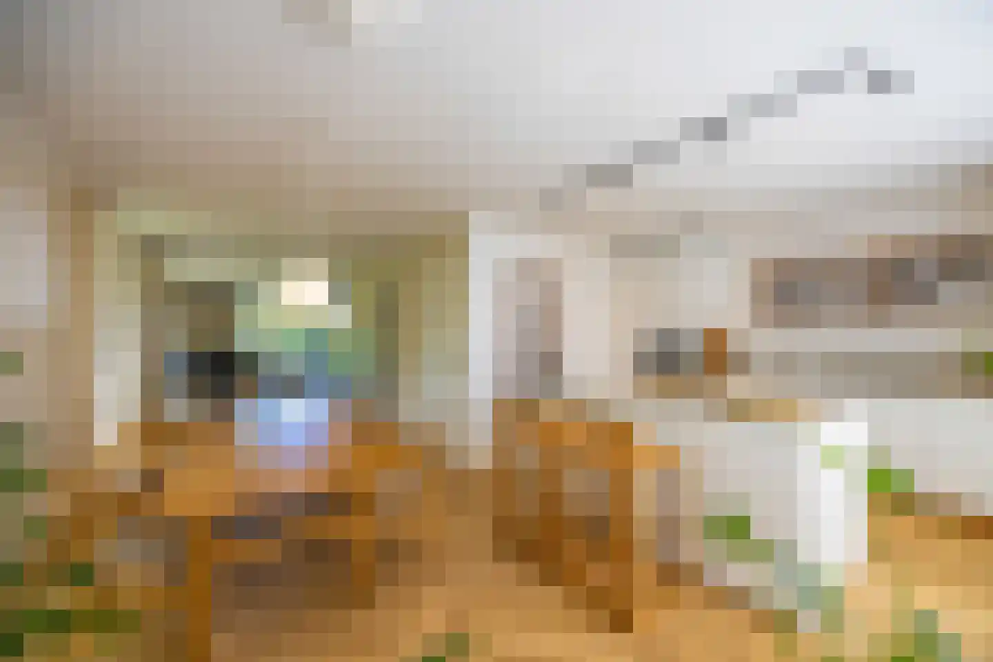 Laantje van Bruijn 8 Blaricum thumbnail 8