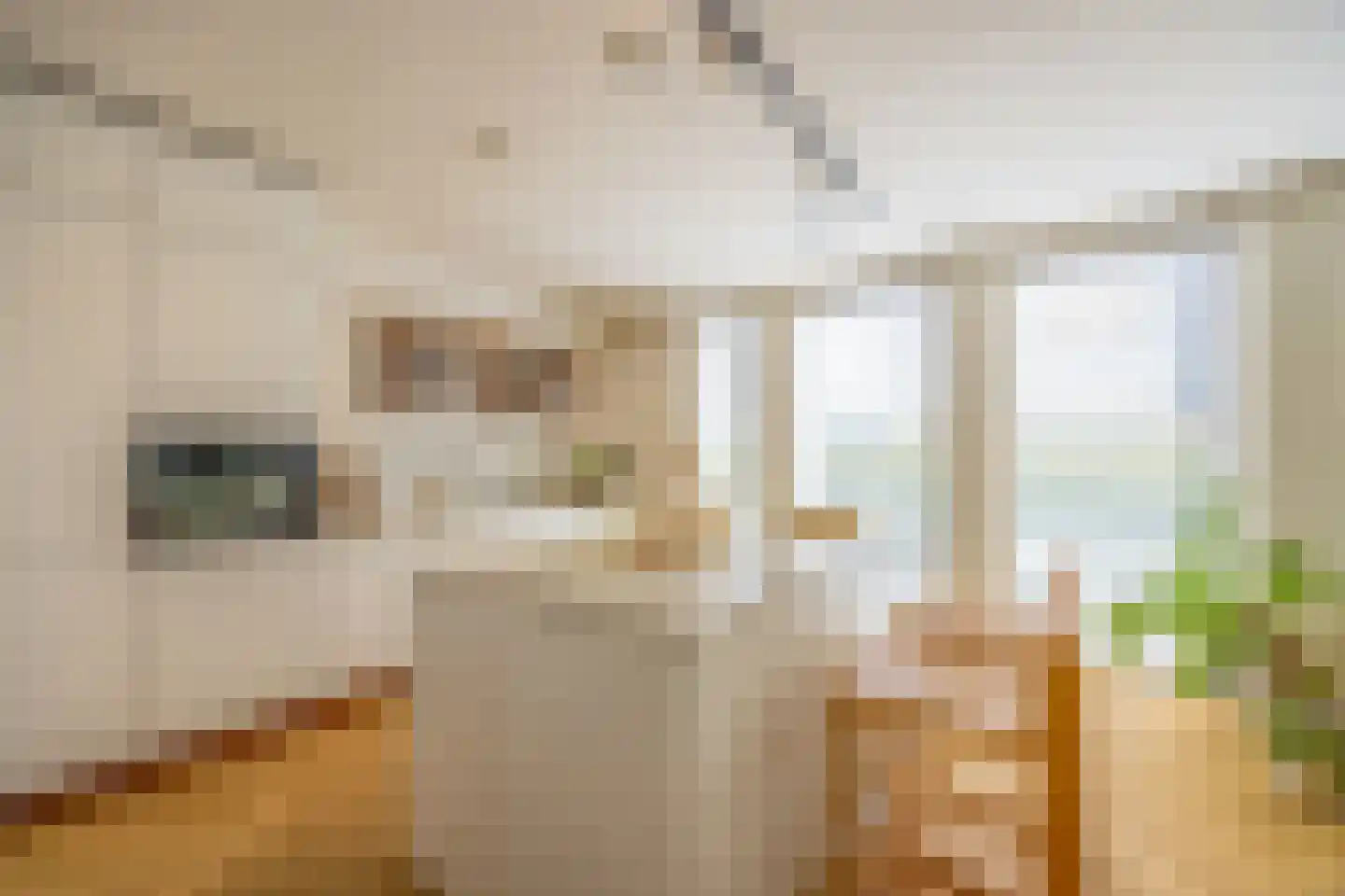 Laantje van Bruijn 8 Blaricum thumbnail 9