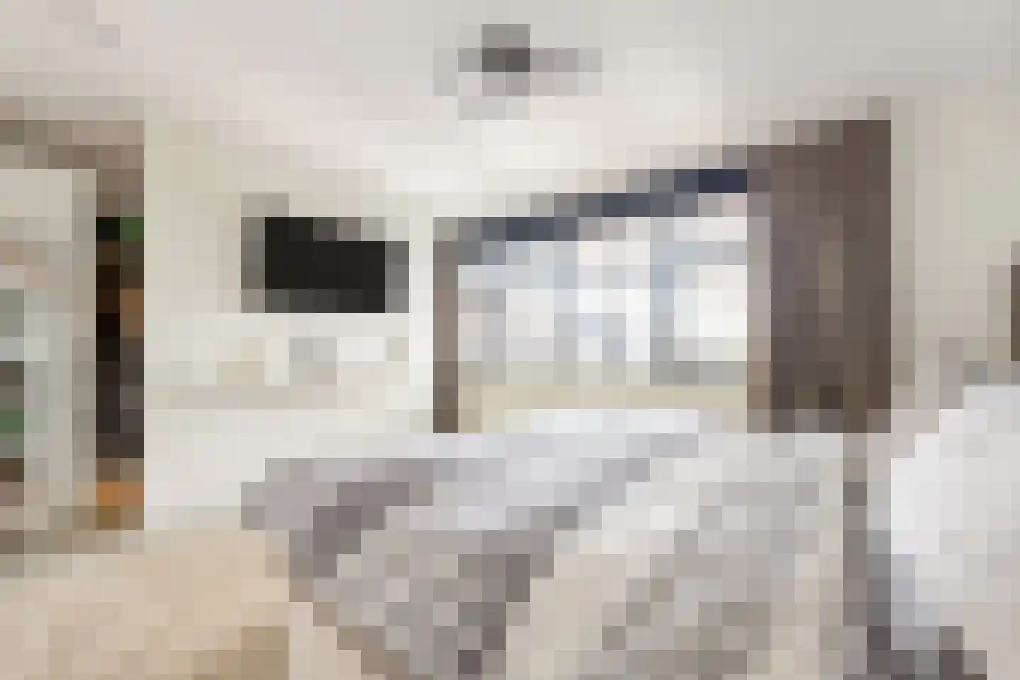 Laantje van Calis 2 Blaricum thumbnail 29